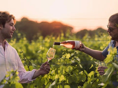 Wine tasting, Oxney