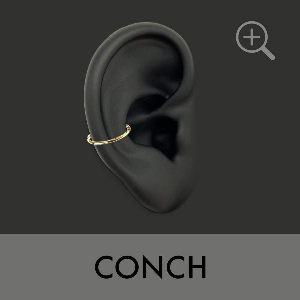 Conch Earrings - Conch Piercing Hoop & Studs | Maria Tash