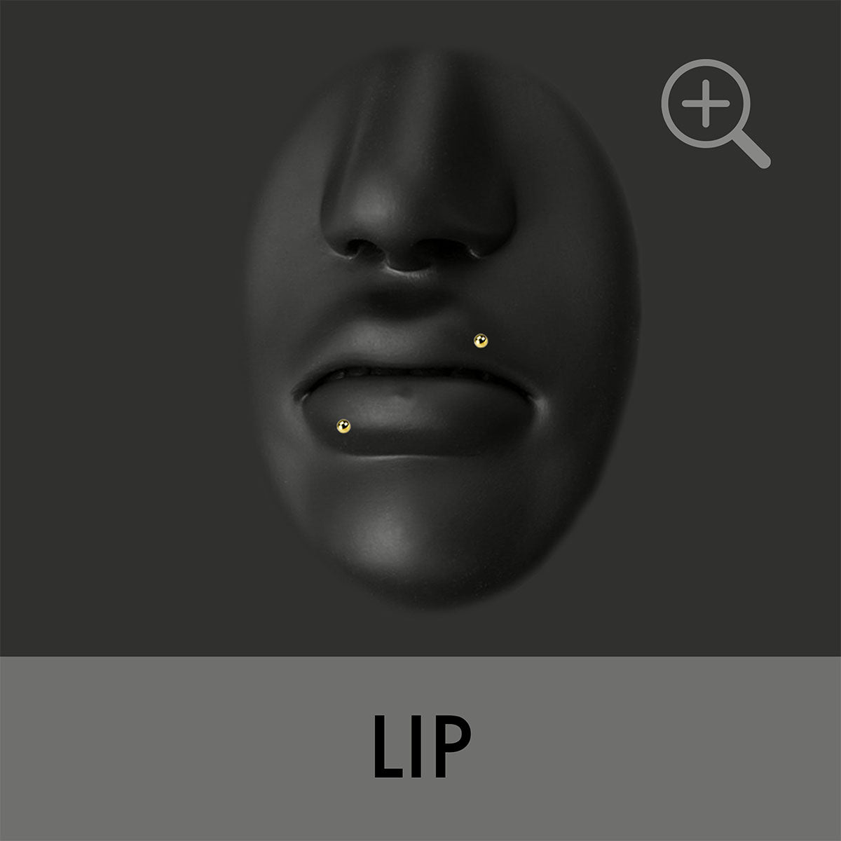 PIERCING MENU lip.png.jpg__PID:232504f3-fff9-453c-a3b5-fd76f5e9043a