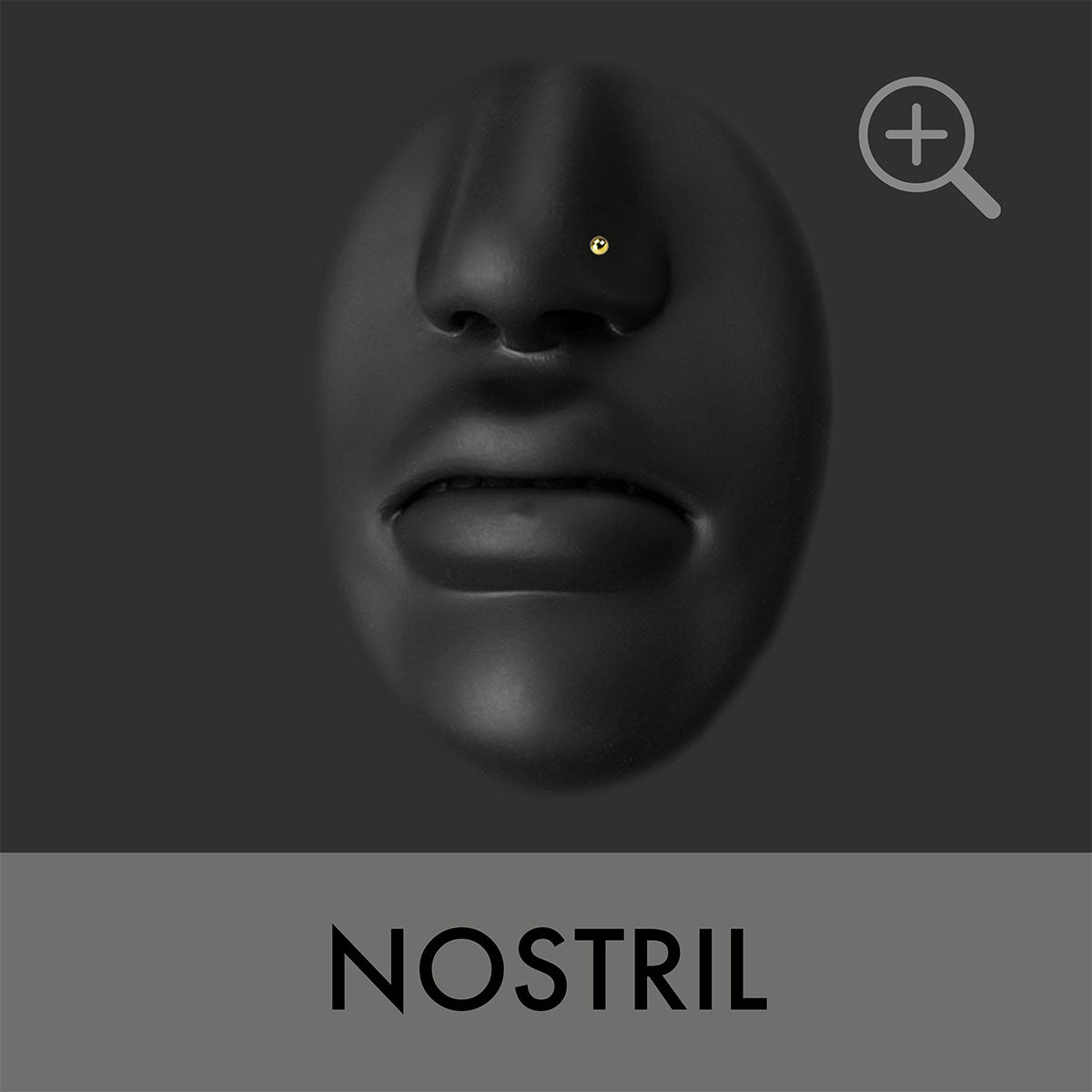 nostril.png.jpg__PID:124aa71d-94b7-4266-b8b1-f36ea27e2d95