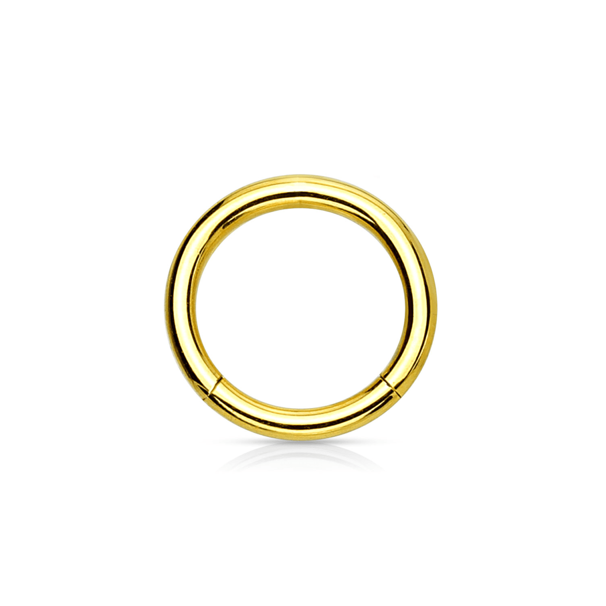 Gold PVD Over Steel Hinged Segment Ring - SkinKandy product image