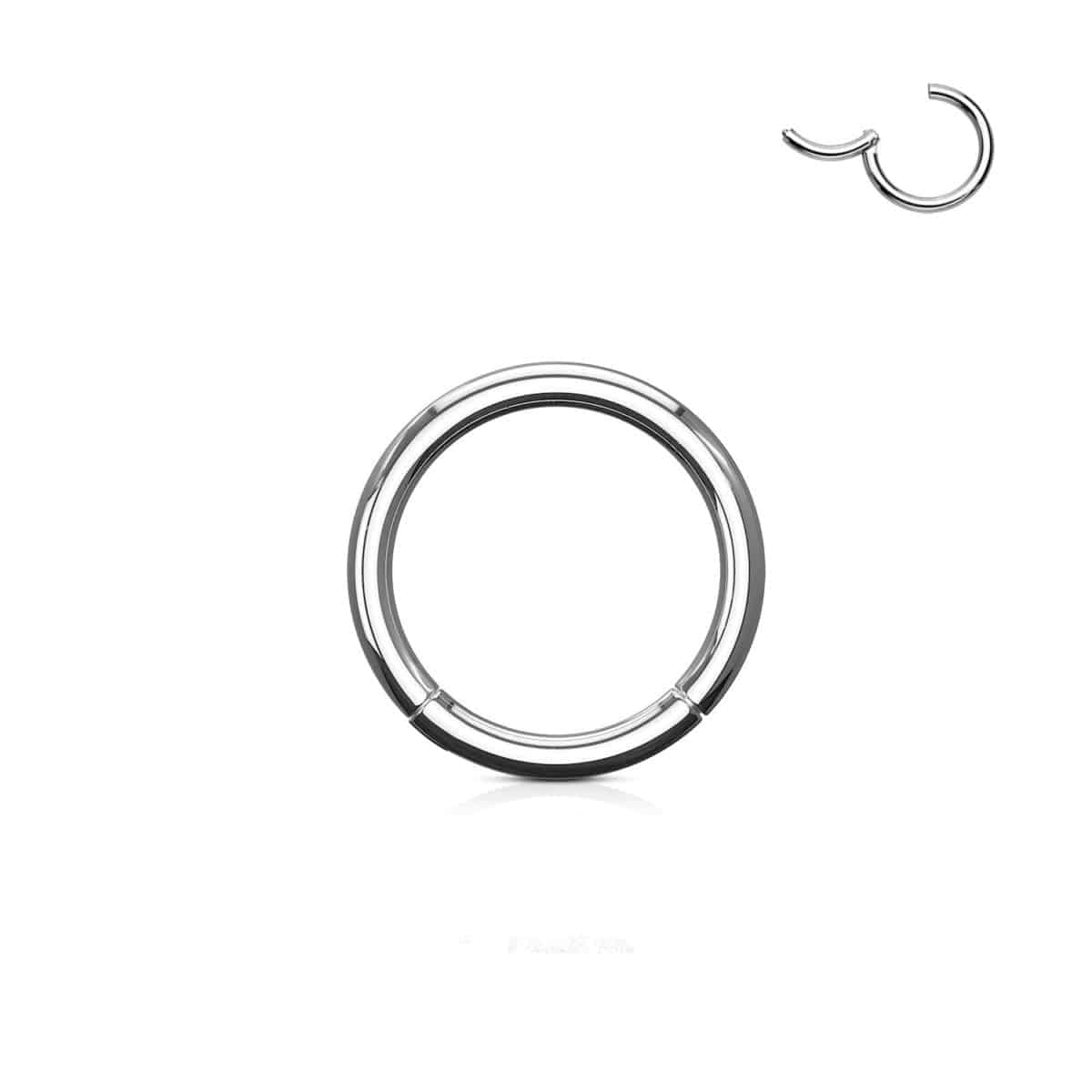 High Quality Precision Steel Hinged Segment Ring - SkinKandy product image