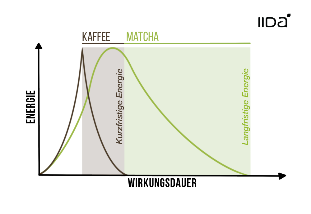 Kaffee vs. Matcha (Koffeingehalt)