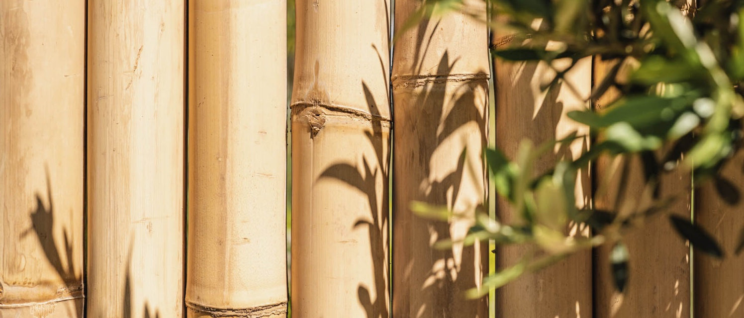 Behoren Birma lanthaan Bamboe Vlonderplanken kopen? | Bamboo Import