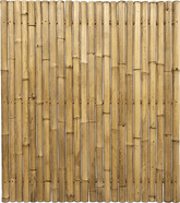 Bamboe Schutting Giant Naturel | Import