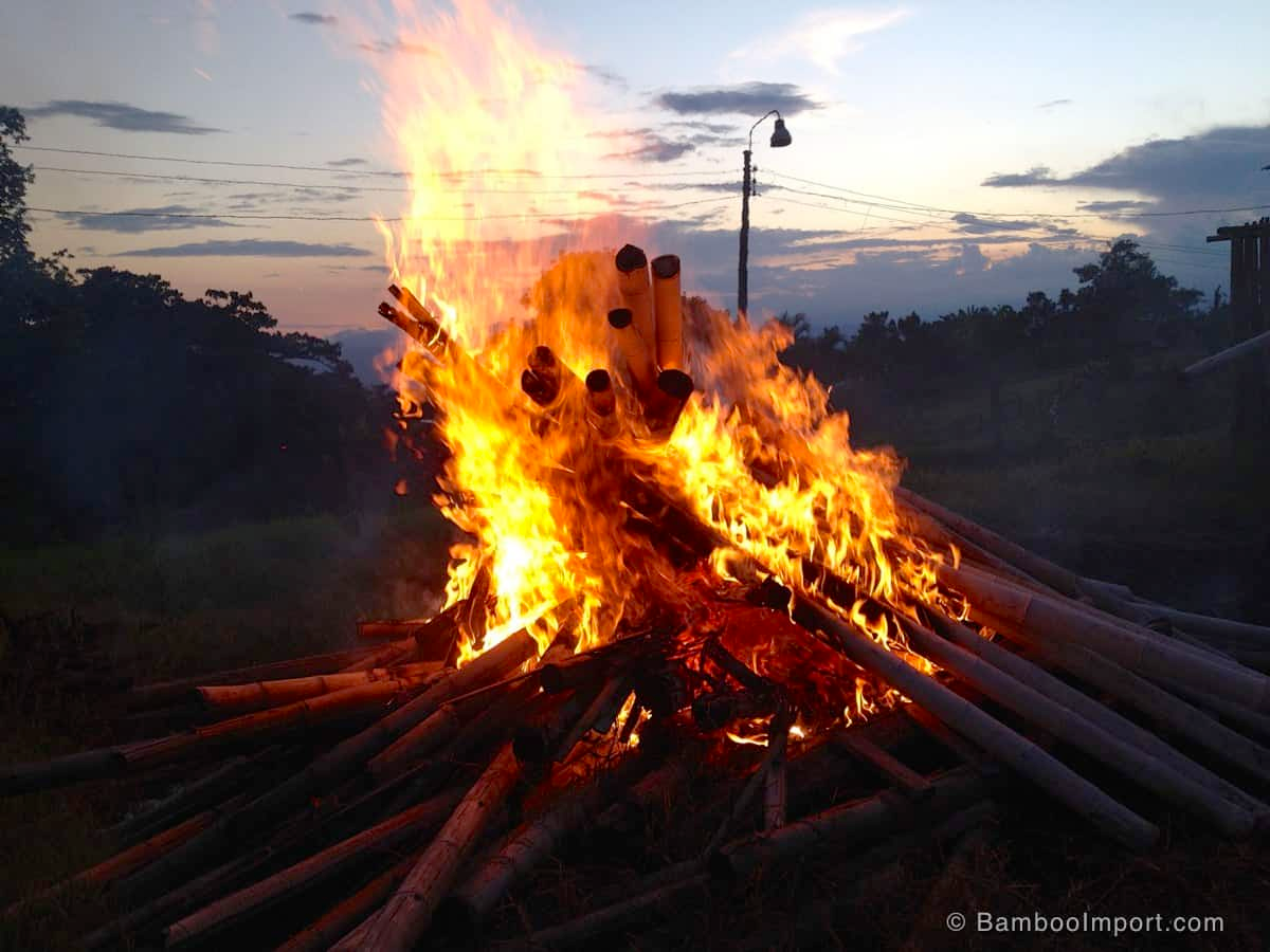 CANNE DI BAMBOO BAMBU' ALTEZZA DA 1 A 2 METRI DIAMETRO DA 20 A