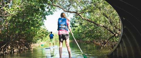 girl paddleboarding under tree cover