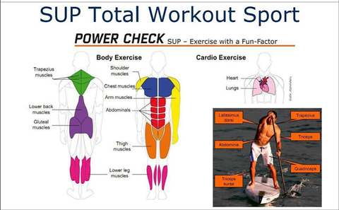 paddle boarding workout diagram