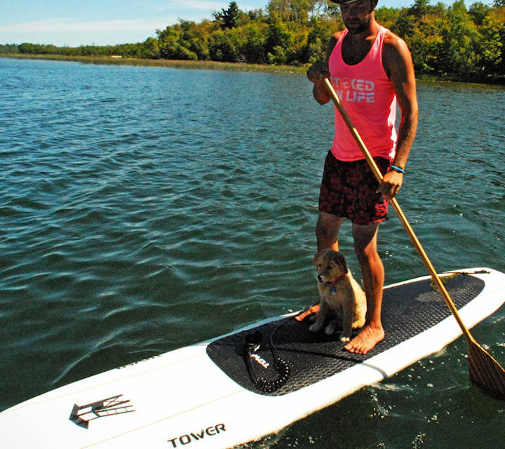 Puppy Paddle Boarding