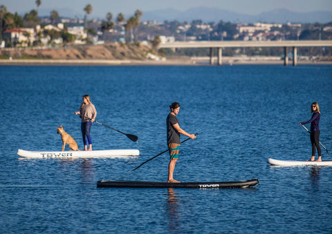 group of people riding Tower paddle boards