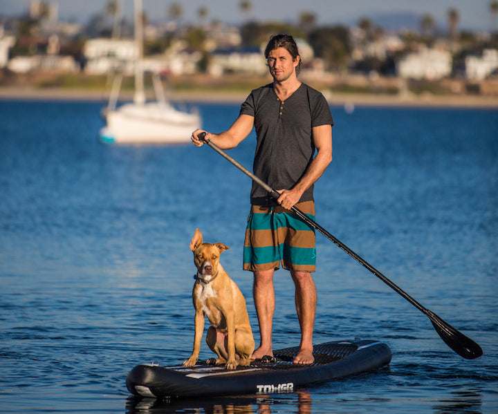 Paddle Board Dog on Tower iRace