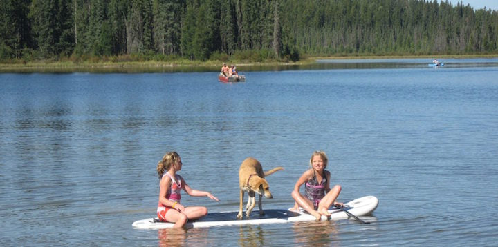 Kids Paddle Boarding with Dogs