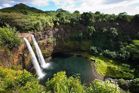 waterfall in a rainforest