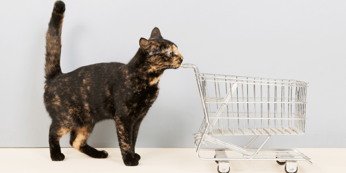 Buy items on an Amazon wishlist - calico cat pushing a shopping cart