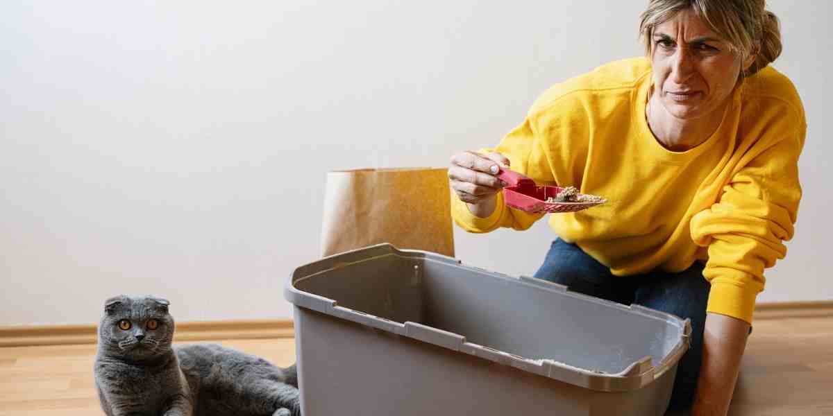 Frustrated woman cleaning the litter box with her cat sitting nearby, depicting the litter box challenges cat owners face.