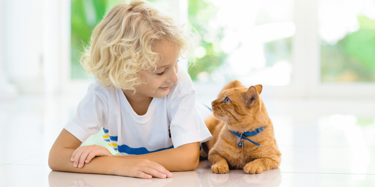 Educate kids on cat handling and care - young boy and ginger cat laying next to each other