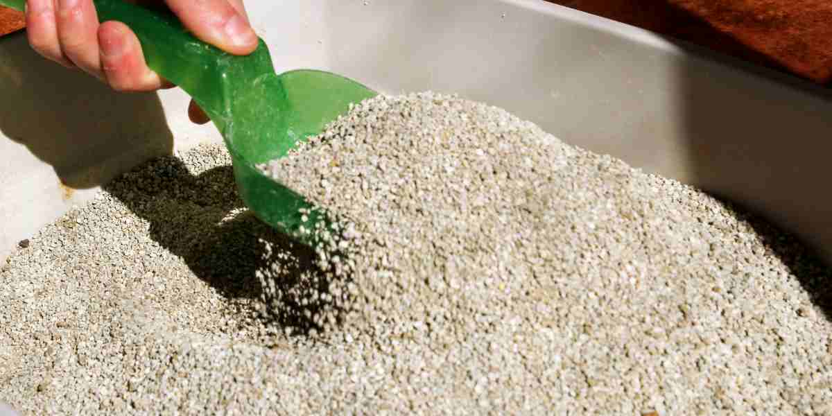 Close up of all-natural grass cat litter being scooped with a green scooper
