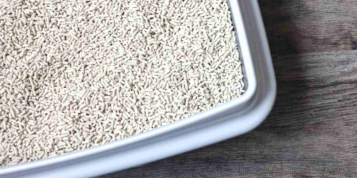 Close-up texture of eco-friendly soybean pellet cat litter