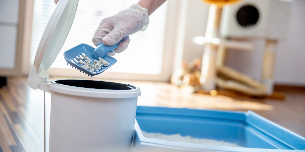Tips to properly clean your cat’s litter box. Cleaning a litter box. Dumping clumps in a litter genie.