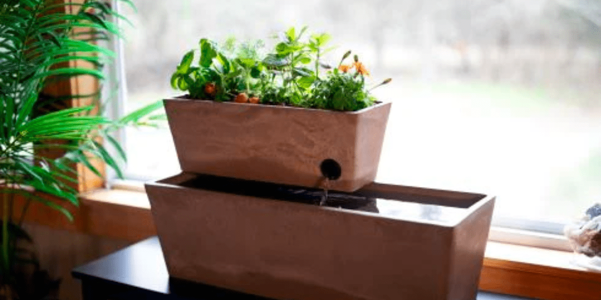 Upgrade your garden into a self-sustaining ecosystem.