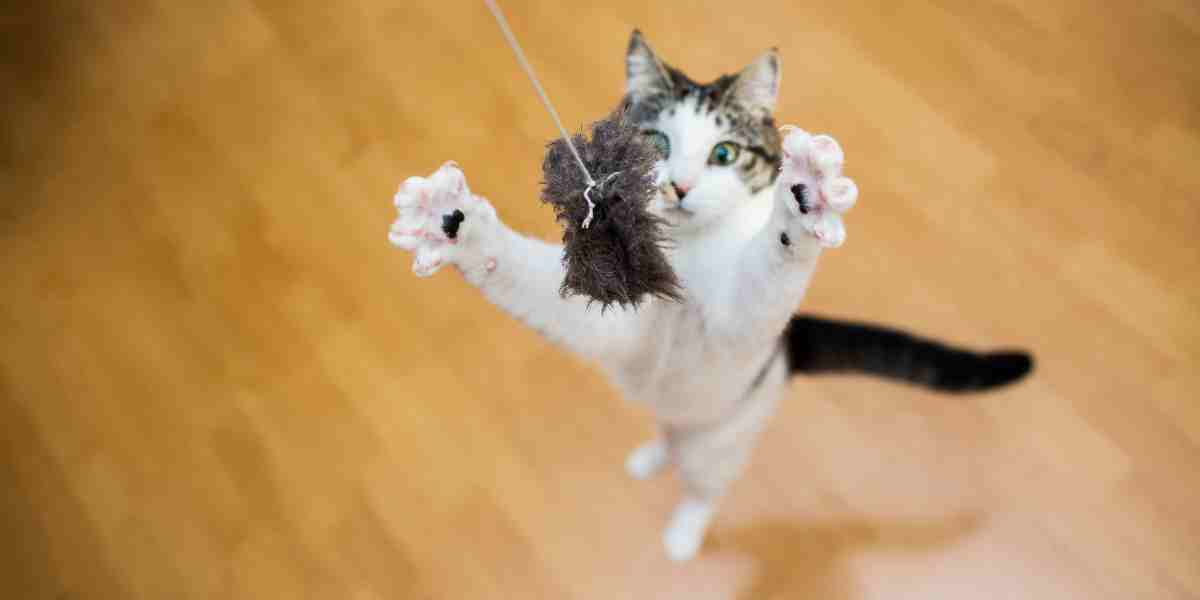 Playful cat jumping to catch a DIY, sustainable feather toy