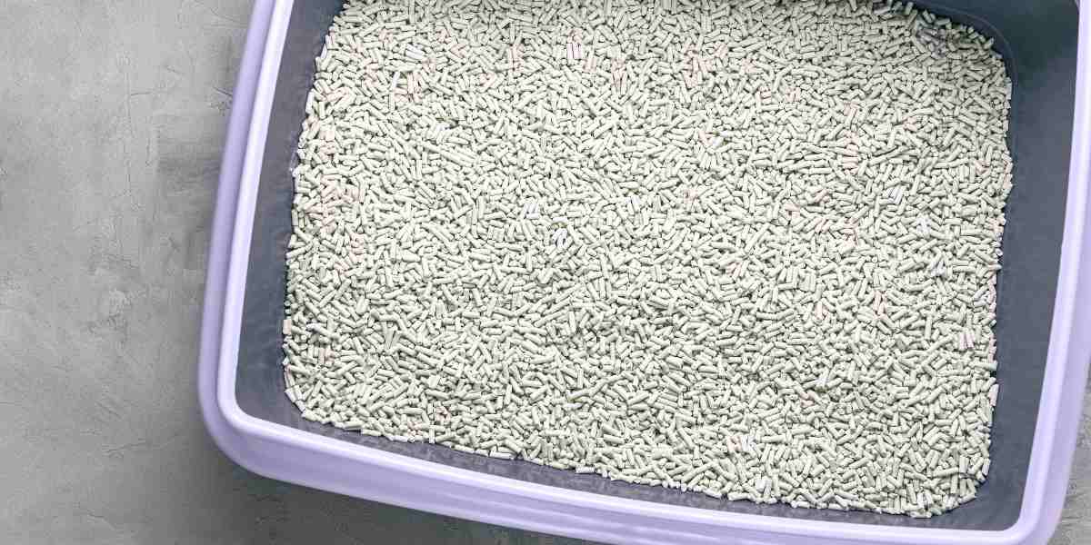 Eco-friendly biodegradable soybean cat litter in a litter box, top view for eco-friendly cat care