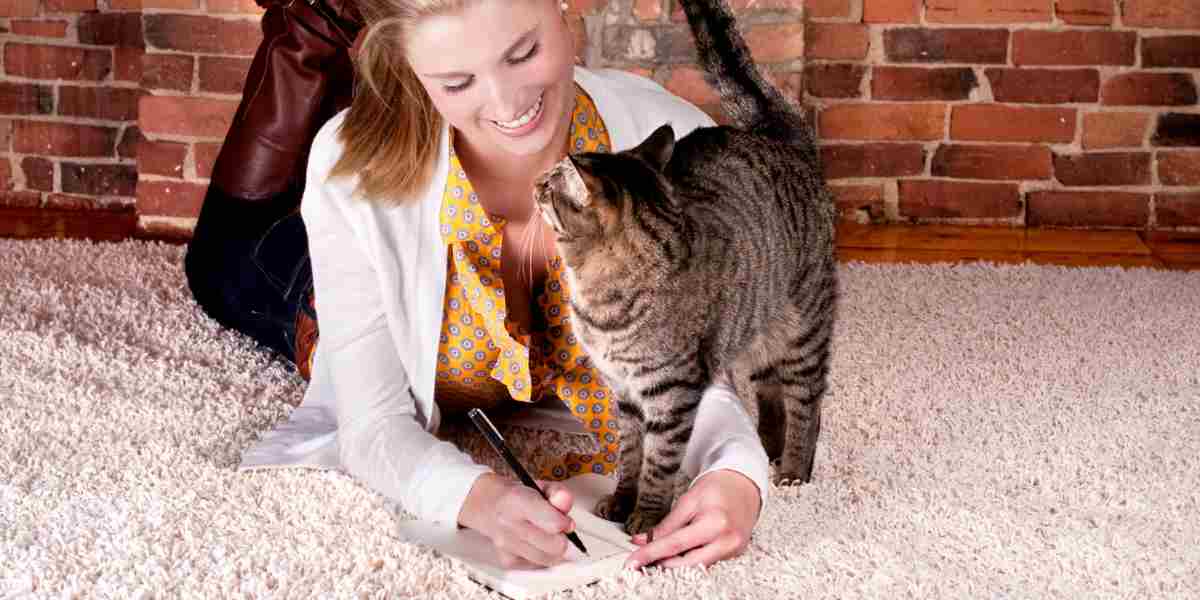Owner jotting down notes on cat's holistic lifestyle changes
