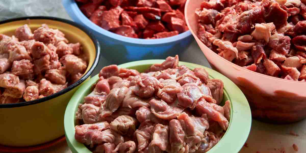 Assorted raw meats in bowls for cat food diet, highlighting natural and sustainable feeding options