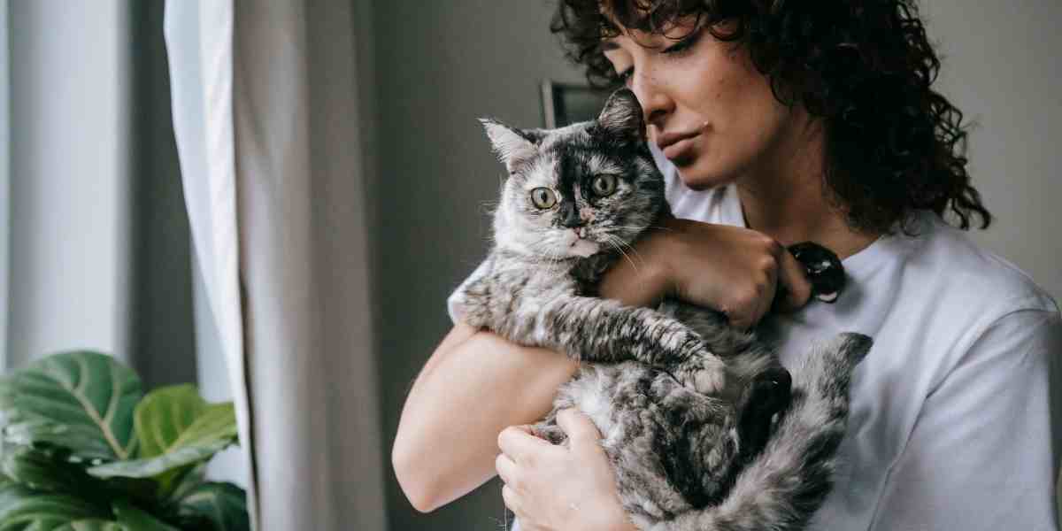 Affectionate woman embracing a grey tabby cat, representing SoyKitty Cat Litter's compassionate and eco-conscious consumer base.