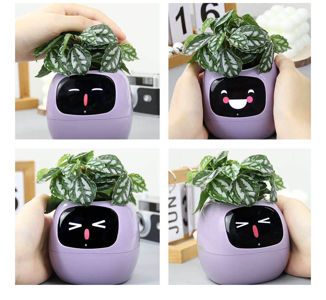 PLANTSIO Ivy interactive smart flowerpot with endless fun features3