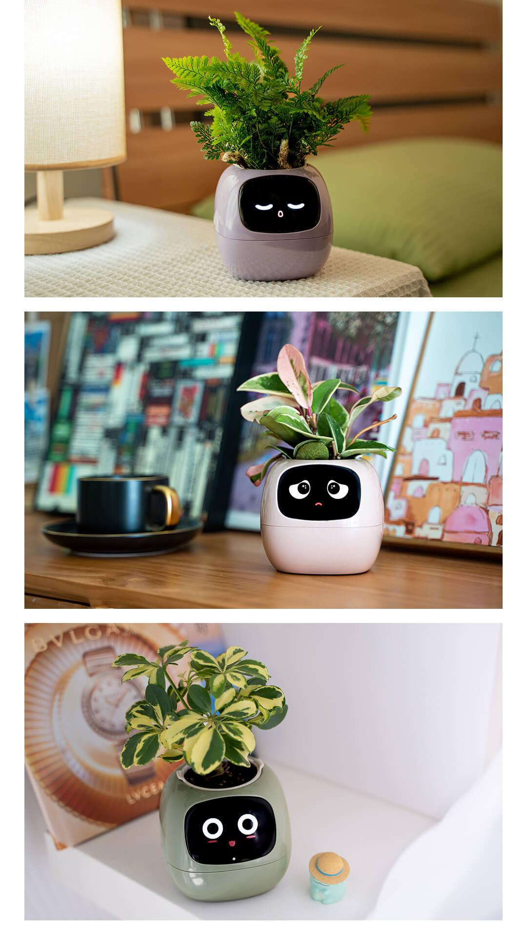 PLANTSIO Ivy interactive smart flowerpot with endless fun features8