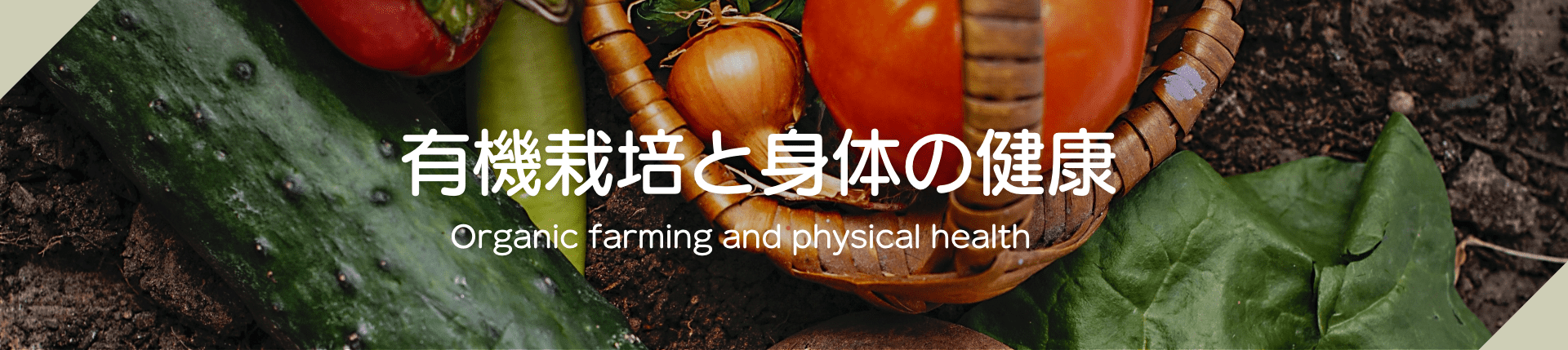 有機栽培と身体の健康