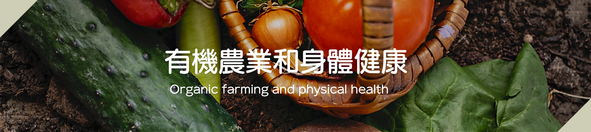 有機農業和身體健康
