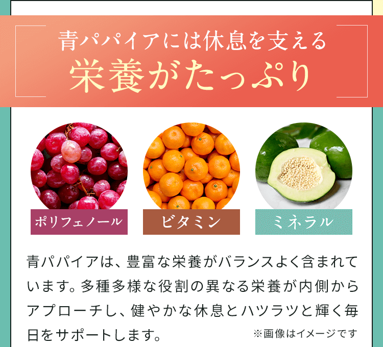 青パパイアには休息を与える栄養がたっぷり