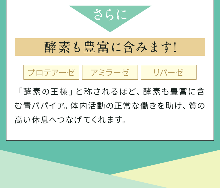 さらに酵素も豊富に含みます