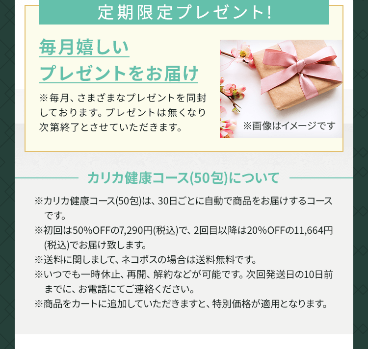 定期限定プレゼント