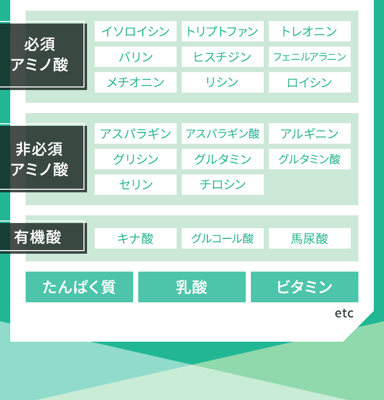 栄養たっぷりの青パパイアを発酵・熟成することでさらに100以上の有用成分を含有