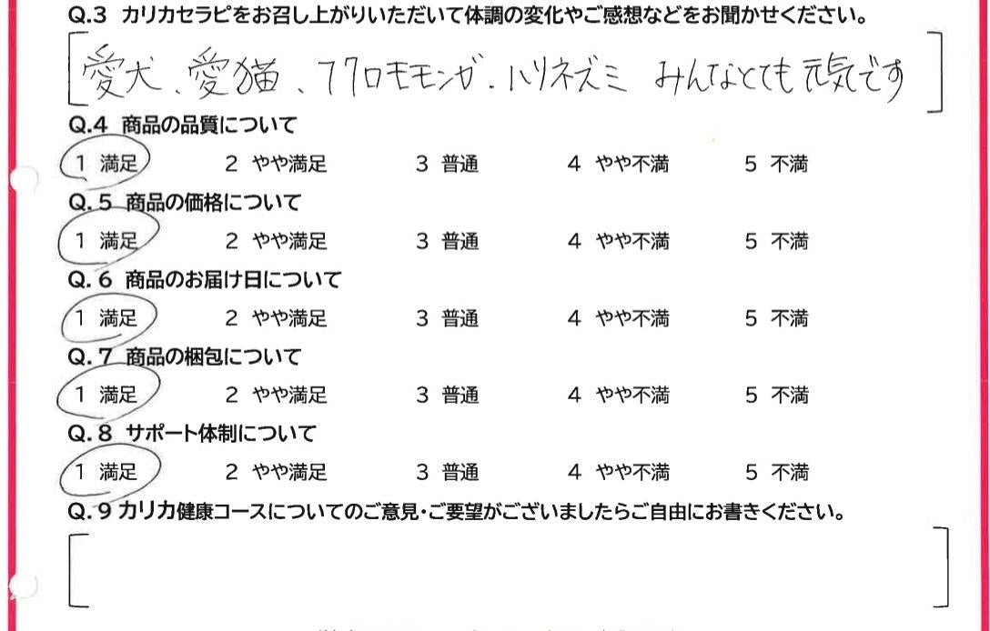 お客様のお声 – カリカセラピ株式会社