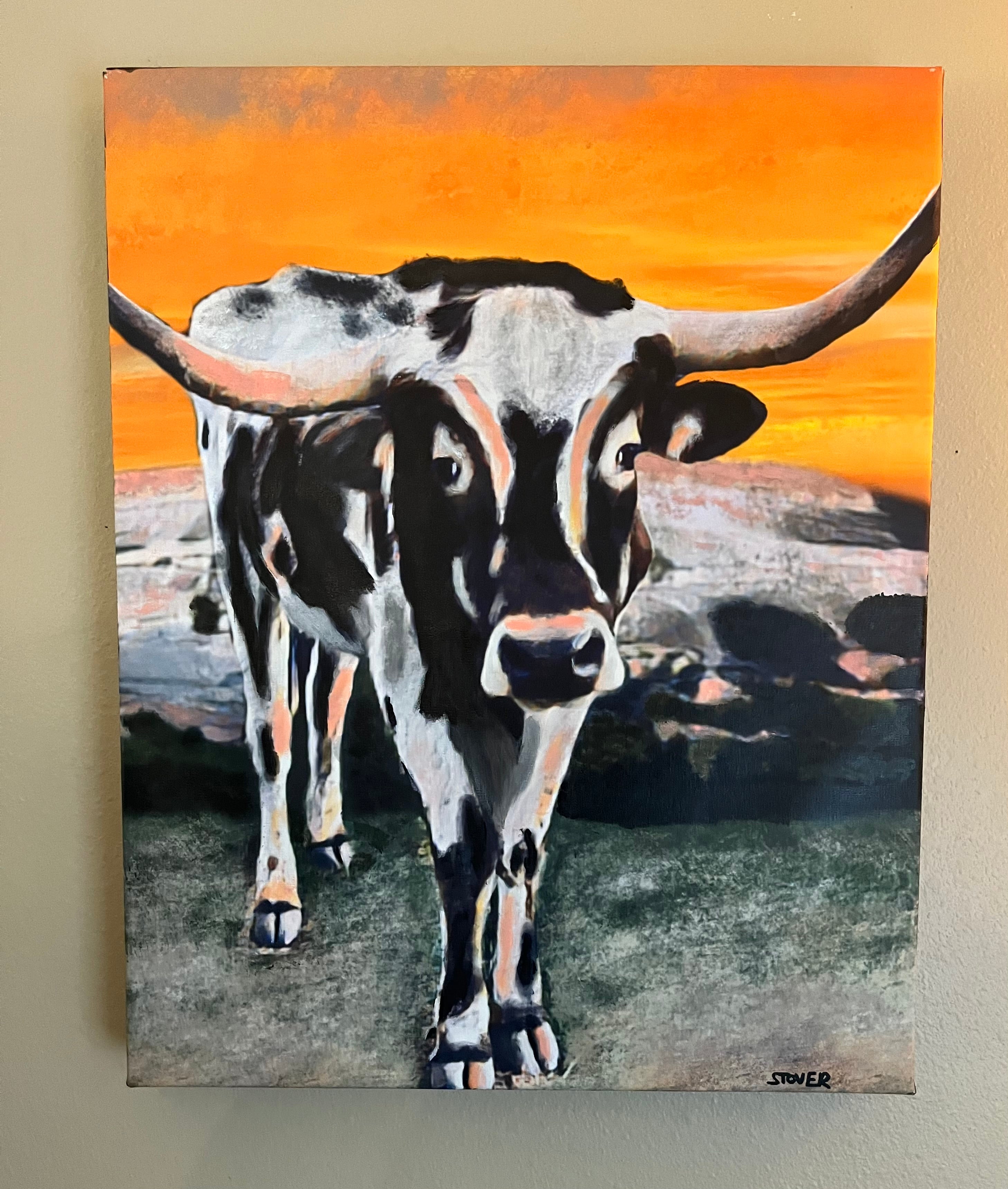 Longhorn at Enchanted Rock 16” x 20” Canvas Print