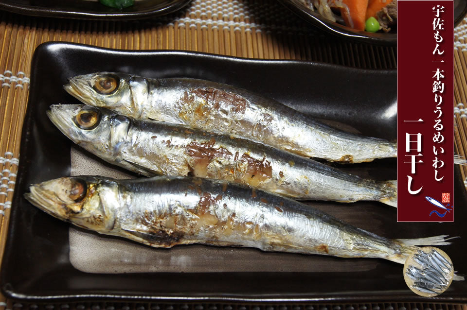 一本釣りうるめいわしの一日干