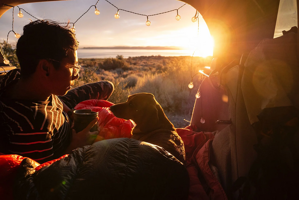 Camping with dogs