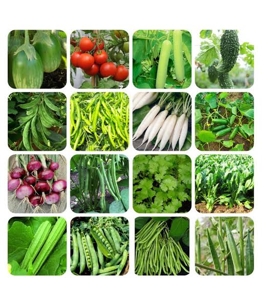 All Vegetable