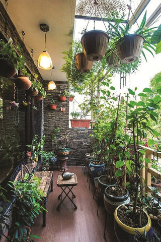 Creating-a-Lush-Balcony-Garden:-Tips-for-Urban-Spaces-Urban-Plants