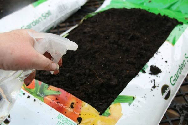 Growing In Soil BagsContainer Gardening Made Easy  Roots and Refuge