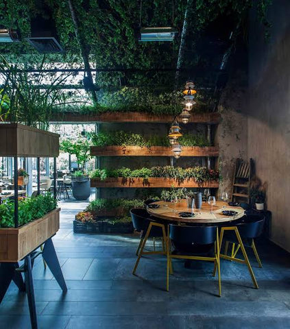 Plants for cafes and restaurants 