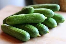 Cucumber-Farming-in-Polyhouse-(Kheera)-Double-Profit-Urban-Plants