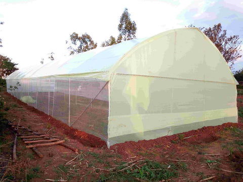 Greenhouse-Farming-in-Kenya:-How-to-Start,-Crops,-Construction-Profits,-and-Subsidy-Urban-Plants
