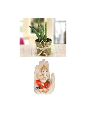 Ganesh ji gift with Aloevera plant for housewarming function urban plants