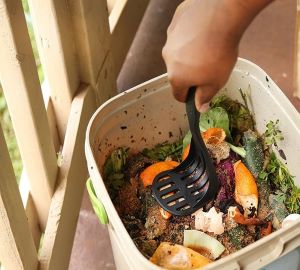 Do's-and-Don'ts-While-Managing-Garden-Waste-Urban-Plants