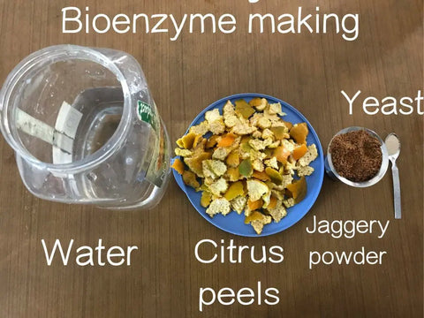 Bio-enzyme-natural-at-hom- Urban-plants 